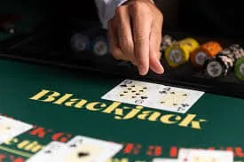 seoworker Teen Patti Champ at seoworker
